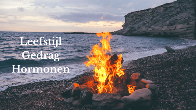 vuurtje op het strand